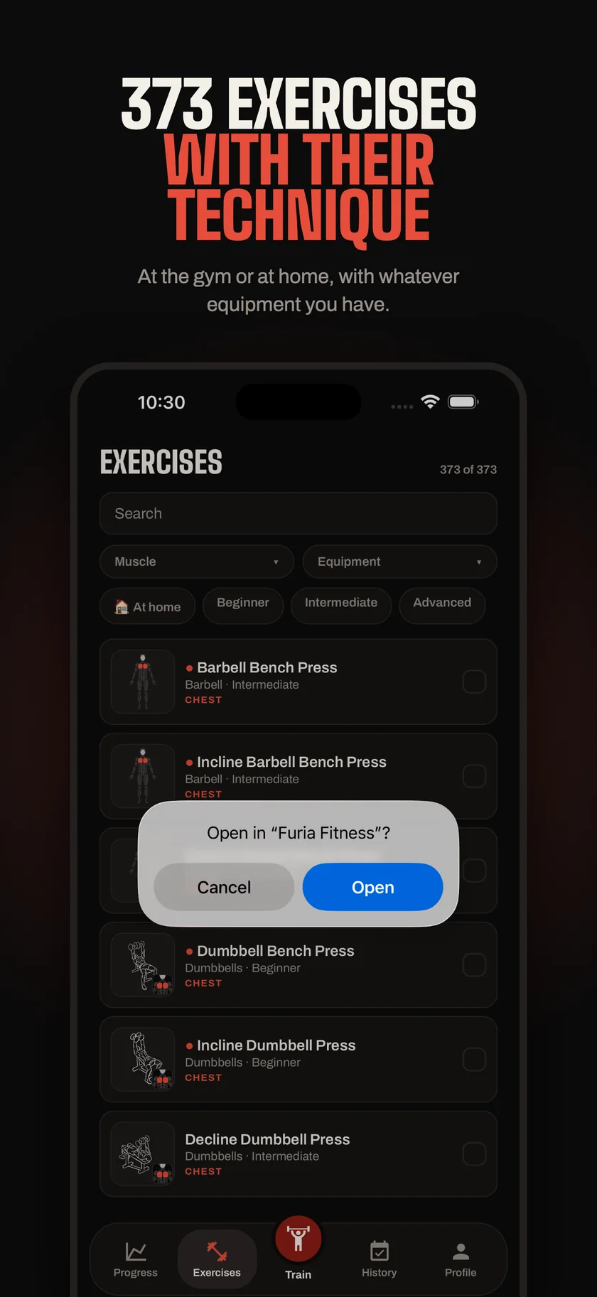 Furia Fitness — Exercises